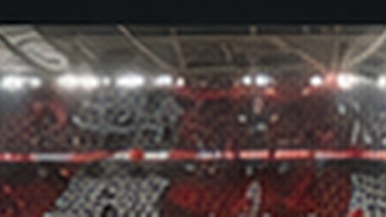 Choreo und Fahnenmeer